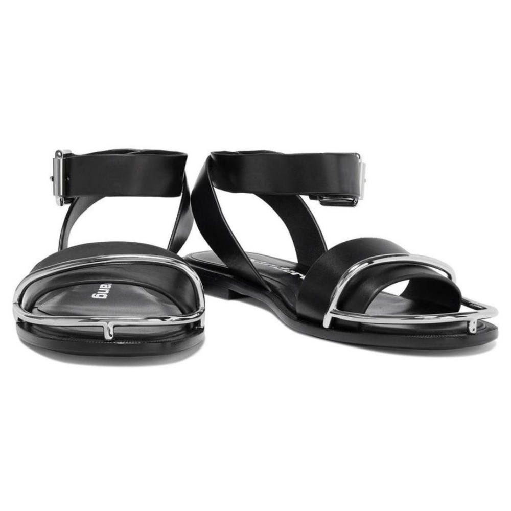 Alexander wang sandals